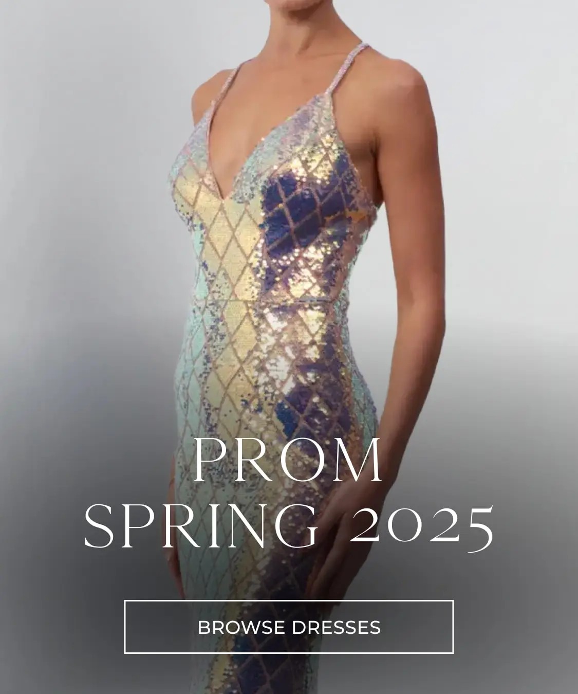 prom spring 2025 banner
